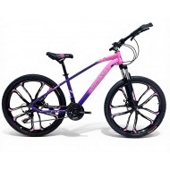 Shwenda Bicycle 24"