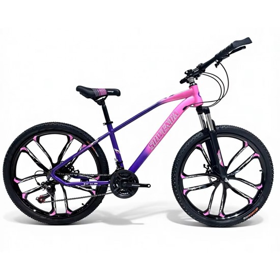 Shwenda Bicycle 24"
