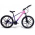Shwenda Bicycle 24"