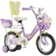 Princess Edition Girl's Bike