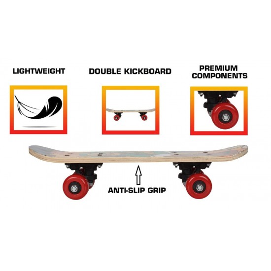 Skateboard (23 x 6) Multicolored