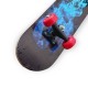 Skateboard (23 x 6) Multicolored