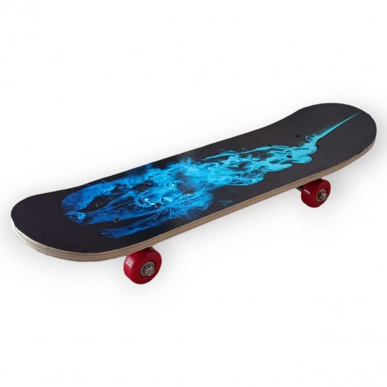 Skateboard (23 x 6) Multicolored