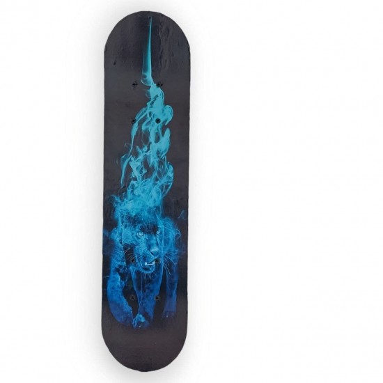 Skateboard (23 x 6) Multicolored