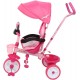 Minnie Mouse Tricycle With Handle