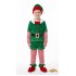 Elf (Le Lutin) Costume