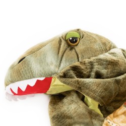 Dinosaur Costume