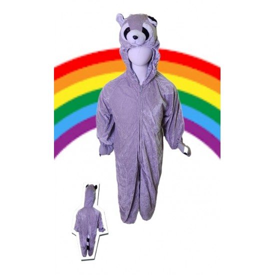 Raccoon Costume