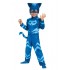 PJ Masks Cat boy Costume