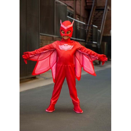PJ Masks Girl's Costume