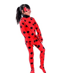 Miraculous Costume