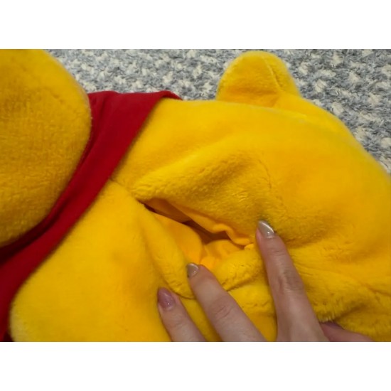 Winnie the Pooh Toy Tissue Box