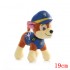 Pawpatrol YY246