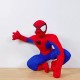 Spiderman FY050