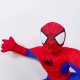 Spiderman FY050