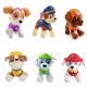 Pawpatrol YY246