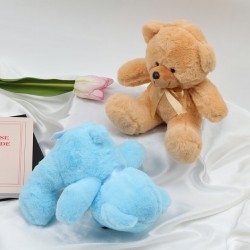 Assorted Bear YY301