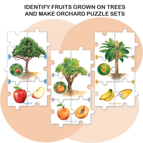 Feast on Fruits 39118