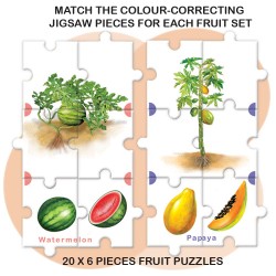 Feast on Fruits 39118