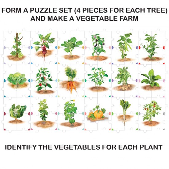 Veggie Delight (Multicolor) 39119