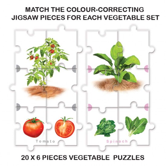 Veggie Delight (Multicolor) 39119