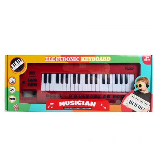 Electronic Organ With Earphone