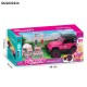 Pink Doll Cars