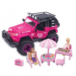 Pink Doll Cars