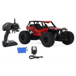 Buggy RC Car