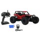 Buggy RC Car