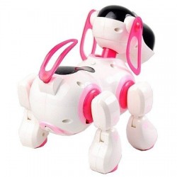 Robot dog R/C