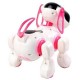 Robot dog R/C