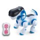 Robot dog R/C