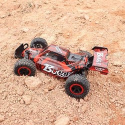 1/16 Remote Control Car 2.4Ghz