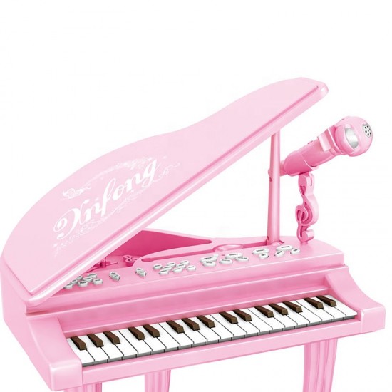 Educational Musical Instrument Piano