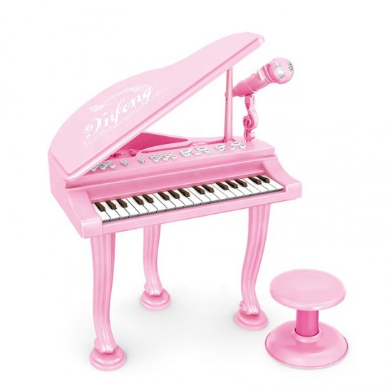 Educational Musical Instrument Piano