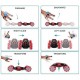 2.4 GHZ 360 Rolling Climbing Stunt Remote Control Twist Light Car