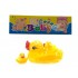 Rubber Duck Bath Toys