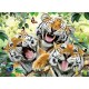 Silly Tigers - 100 Piece Puzzle