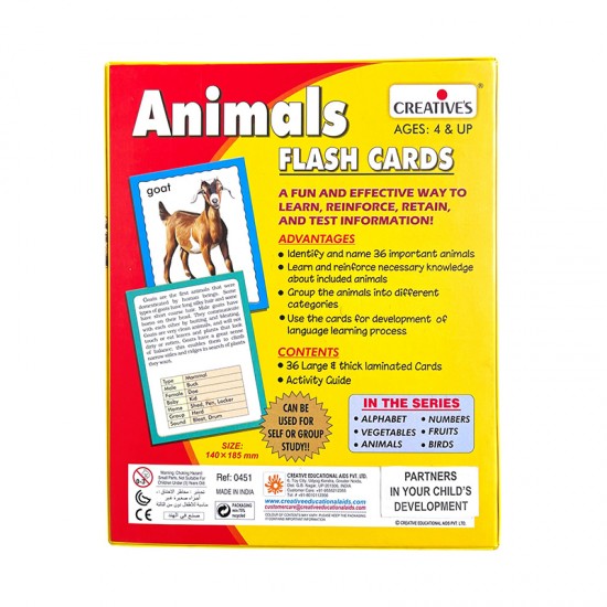 Discover Animals (Jumbo Flash cards)