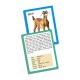 Discover Animals (Jumbo Flash cards)