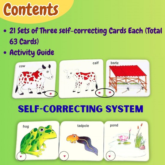 Animal Families & Their Homes