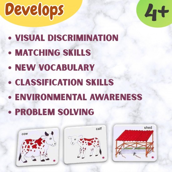 Animal Families & Their Homes