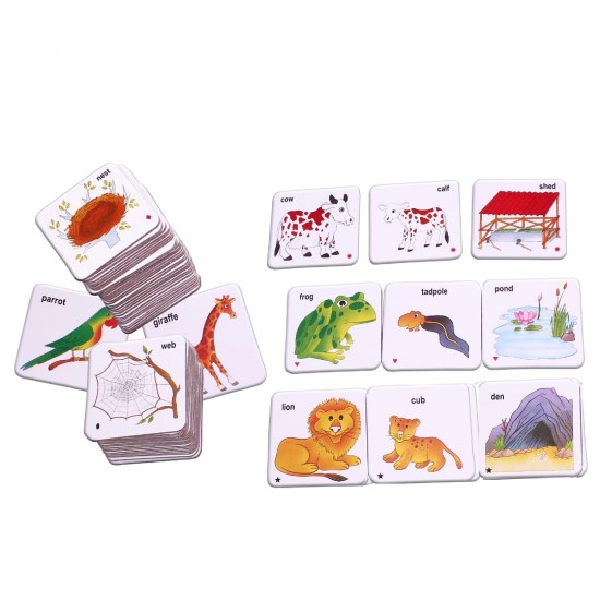 Animal Families & Their Homes