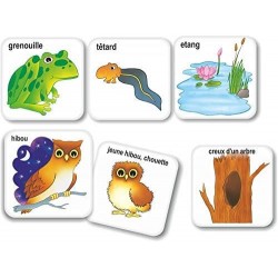 Les Animux leurs familles et leurs habitatas