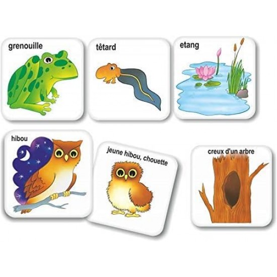 Les Animux leurs familles et leurs habitatas