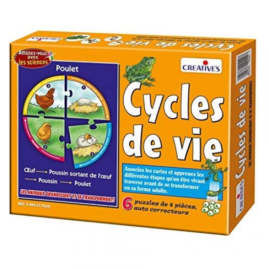 Cycles de vie