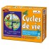 Cycles de vie