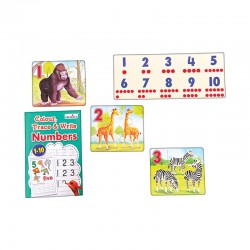 Count & Learn- Numbers