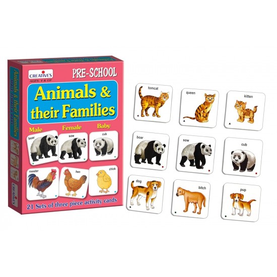 Animals & Their Families + Animals Their Homes & Food | Pre-School